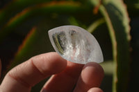 Polished Clear Quartz "Angel Tears" pendant pieces x 20 From Madagascar - Toprock Gemstones and Minerals 