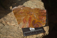Polished On One Side Nguni Jasper Specimens x 2 From Prieska, South Africa - Toprock Gemstones and Minerals 