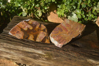 Polished On One Side Nguni Jasper Specimens x 2 From Prieska, South Africa - Toprock Gemstones and Minerals 