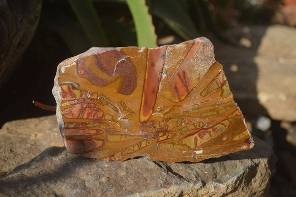 Polished On One Side Nguni Jasper Specimens x 2 From Prieska, South Africa - Toprock Gemstones and Minerals 