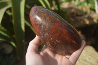 Polished Red Jasper Standing Free Forms x 1 From Madagascar - Toprock Gemstones and Minerals 