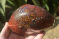 Polished Red Jasper Standing Free Forms x 1 From Madagascar - Toprock Gemstones and Minerals 
