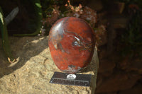 Polished Red Jasper Standing Free Forms x 1 From Madagascar - Toprock Gemstones and Minerals 