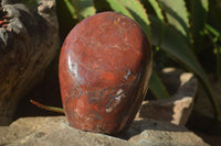 Polished Red Jasper Standing Free Forms x 1 From Madagascar - Toprock Gemstones and Minerals 