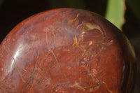 Polished Red Jasper Standing Free Forms x 1 From Madagascar - Toprock Gemstones and Minerals 