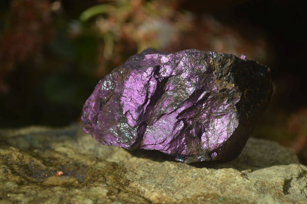 Natural Metallic Purpurite Cobbed Specimens x 6 From Erongo, Namibia - Toprock Gemstones and Minerals 