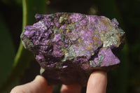 Natural Metallic Purpurite Cobbed Specimens x 6 From Erongo, Namibia - Toprock Gemstones and Minerals 