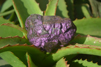Natural Metallic Purpurite Cobbed Specimens x 6 From Erongo, Namibia - Toprock Gemstones and Minerals 