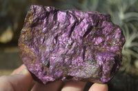 Natural Metallic Purpurite Cobbed Specimens x 6 From Erongo, Namibia - Toprock Gemstones and Minerals 