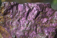 Natural Metallic Purpurite Cobbed Specimens x 6 From Erongo, Namibia - Toprock Gemstones and Minerals 