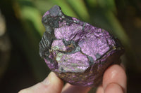 Natural Metallic Purpurite Cobbed Specimens x 6 From Erongo, Namibia - Toprock Gemstones and Minerals 