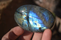 Polished Labradorite Galet / Palm Stones x 12 From Tulear, Madagascar - Toprock Gemstones and Minerals 