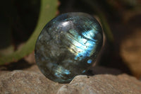 Polished Labradorite Galet / Palm Stones x 12 From Tulear, Madagascar - Toprock Gemstones and Minerals 