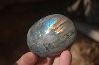 Polished Labradorite Galet / Palm Stones x 12 From Tulear, Madagascar - Toprock Gemstones and Minerals 