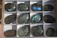 Polished Labradorite Galet / Palm Stones x 12 From Tulear, Madagascar - Toprock Gemstones and Minerals 