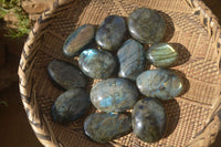 Polished Labradorite Galet / Palm Stones x 12 From Tulear, Madagascar - Toprock Gemstones and Minerals 