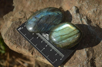 Polished Labradorite Galet / Palm Stones x 12 From Tulear, Madagascar - Toprock Gemstones and Minerals 