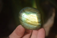 Polished Labradorite Galet / Palm Stones x 12 From Tulear, Madagascar - Toprock Gemstones and Minerals 