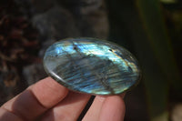 Polished Labradorite Galet / Palm Stones x 12 From Tulear, Madagascar - Toprock Gemstones and Minerals 