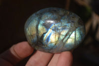 Polished Labradorite Galet / Palm Stones x 12 From Tulear, Madagascar - Toprock Gemstones and Minerals 