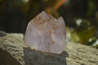 Polished Window Amethyst Crystals x 6 From Ankazobe, Madagascar - Toprock Gemstones and Minerals 