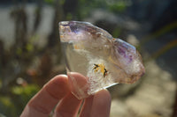 Polished Window Amethyst Crystals x 6 From Ankazobe, Madagascar - Toprock Gemstones and Minerals 