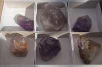 Polished Window Amethyst Crystals x 6 From Ankazobe, Madagascar - Toprock Gemstones and Minerals 