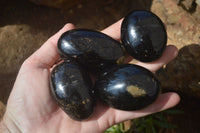 Polished Black Tourmaline Galet / Palm Stones x 12 From Madagascar - Toprock Gemstones and Minerals 