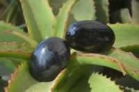 Polished Black Tourmaline Galet / Palm Stones x 12 From Madagascar - Toprock Gemstones and Minerals 