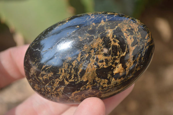 Polished Black Tourmaline Galet / Palm Stones x 12 From Madagascar - Toprock Gemstones and Minerals 