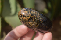 Polished Black Tourmaline Galet / Palm Stones x 12 From Madagascar - Toprock Gemstones and Minerals 