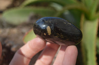Polished Black Tourmaline Galet / Palm Stones x 12 From Madagascar - Toprock Gemstones and Minerals 