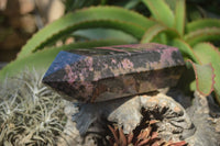 Polished Rhodonite Point x 1 From Madagascar - Toprock Gemstones and Minerals 