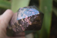 Polished Rhodonite Point x 1 From Madagascar - Toprock Gemstones and Minerals 