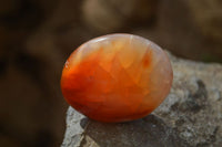 Polished Carnelian Galet / Palm Stones x 12 From Madagascar - Toprock Gemstones and Minerals 
