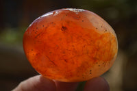 Polished Carnelian Galet / Palm Stones x 12 From Madagascar - Toprock Gemstones and Minerals 