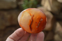Polished Carnelian Galet / Palm Stones x 12 From Madagascar - Toprock Gemstones and Minerals 