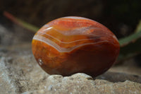Polished Carnelian Galet / Palm Stones x 12 From Madagascar - Toprock Gemstones and Minerals 