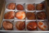 Polished Carnelian Galet / Palm Stones x 12 From Madagascar - Toprock Gemstones and Minerals 