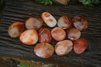 Polished Carnelian Galet / Palm Stones x 12 From Madagascar - Toprock Gemstones and Minerals 