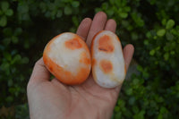 Polished Carnelian Galet / Palm Stones x 12 From Madagascar - Toprock Gemstones and Minerals 
