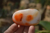 Polished Carnelian Galet / Palm Stones x 12 From Madagascar - Toprock Gemstones and Minerals 