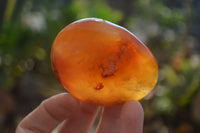 Polished Carnelian Galet / Palm Stones x 12 From Madagascar - Toprock Gemstones and Minerals 