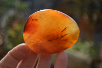 Polished Carnelian Galet / Palm Stones x 12 From Madagascar - Toprock Gemstones and Minerals 
