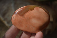 Polished Carnelian Galet / Palm Stones x 12 From Madagascar - Toprock Gemstones and Minerals 