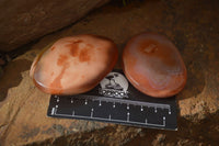 Polished Carnelian Galet / Palm Stones x 12 From Madagascar - Toprock Gemstones and Minerals 