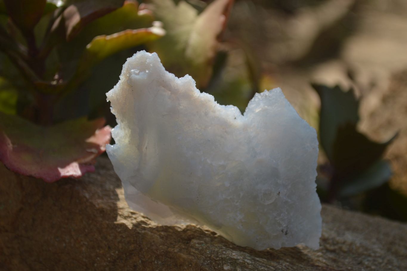 Natural Etched Blue Chalcedony Specimens x 6 From Nsanje, Malawi - Toprock Gemstones and Minerals 