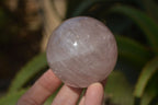 Polished Star Rose Quartz Spheres x 3 From Madagascar - Toprock Gemstones and Minerals 