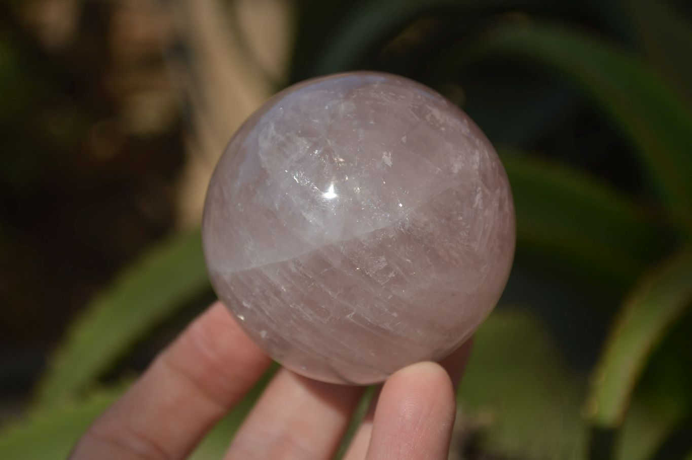 Polished Star Rose Quartz Spheres x 3 From Madagascar - Toprock Gemstones and Minerals 