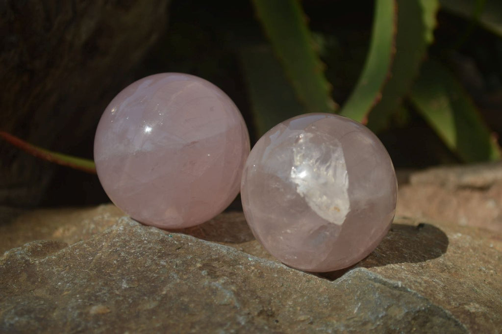 Polished Star Rose Quartz Spheres x 3 From Madagascar - Toprock Gemstones and Minerals 
